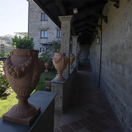 Contessa Siffridina كاسيرتيفاتشيا