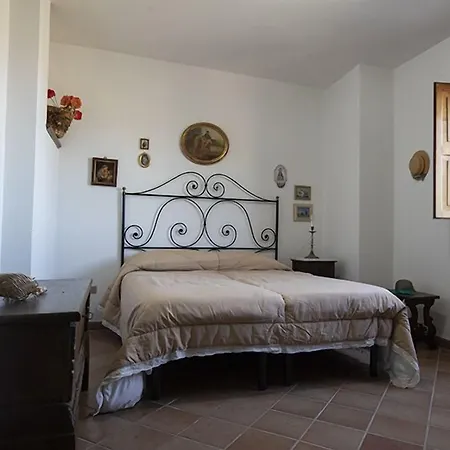 Contessa Siffridina كاسيرتيفاتشيا